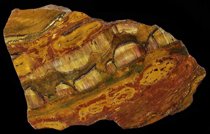 Marra Mamba Stromatolite - Mt Brockman ( Billion Years) #63100